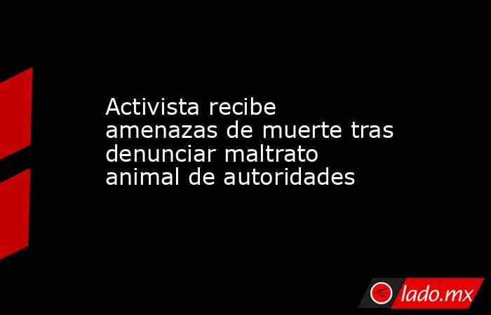 Activista recibe amenazas de muerte tras denunciar maltrato animal de autoridades. Noticias en tiempo real