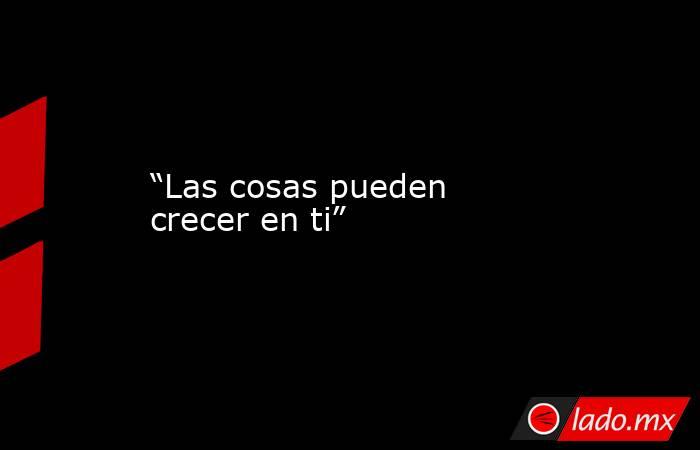 “Las cosas pueden crecer en ti”. Noticias en tiempo real