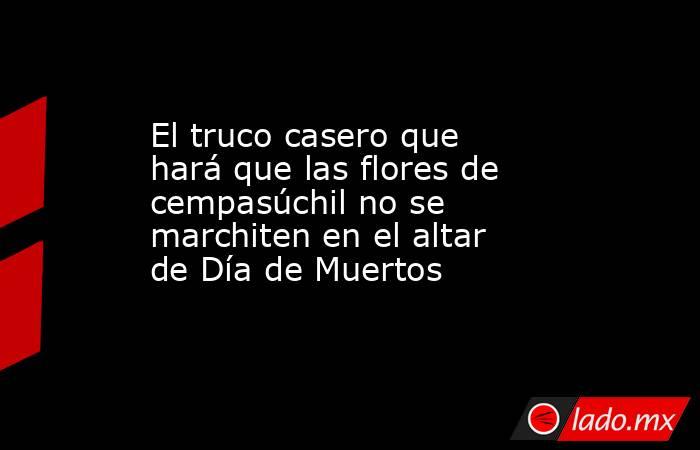 El truco casero que hará que las flores de cempasúchil no se marchiten en el altar de Día de Muertos. Noticias en tiempo real