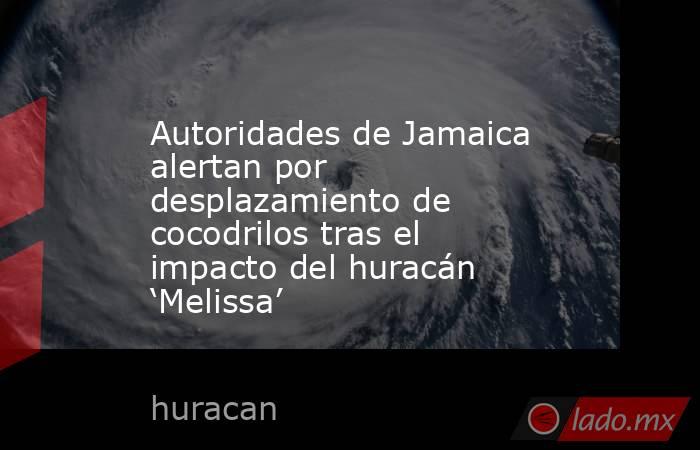 Autoridades de Jamaica alertan por desplazamiento de cocodrilos tras el impacto del huracán ‘Melissa’. Noticias en tiempo real