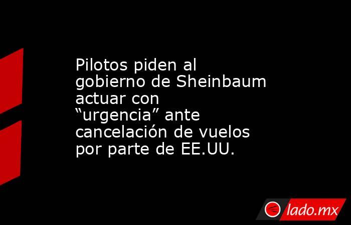 Pilotos piden al gobierno de Sheinbaum actuar con “urgencia” ante cancelación de vuelos por parte de EE.UU.. Noticias en tiempo real
