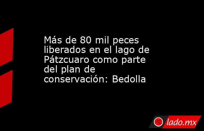 Más de 80 mil peces liberados en el lago de Pátzcuaro como parte del plan de conservación: Bedolla. Noticias en tiempo real