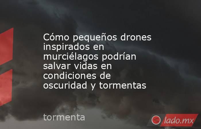 Cómo pequeños drones inspirados en murciélagos podrían salvar vidas en condiciones de oscuridad y tormentas. Noticias en tiempo real
