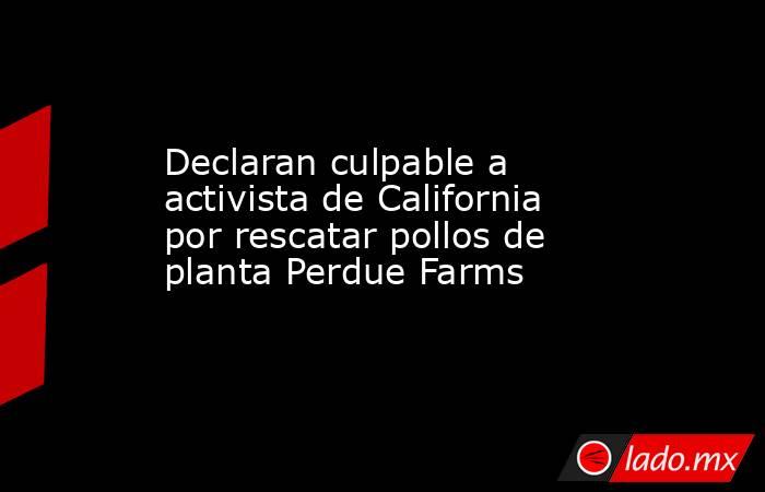 Declaran culpable a activista de California por rescatar pollos de planta Perdue Farms. Noticias en tiempo real