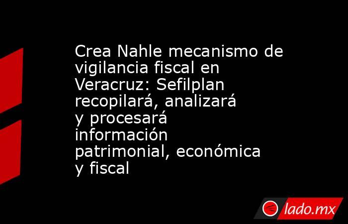 Crea Nahle mecanismo de vigilancia fiscal en Veracruz: Sefilplan recopilará, analizará y procesará información patrimonial, económica y fiscal. Noticias en tiempo real