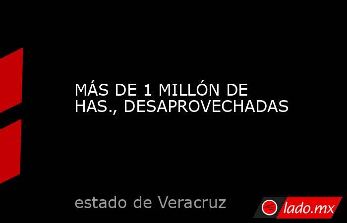 MÁS DE 1 MILLÓN DE HAS., DESAPROVECHADAS