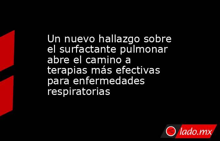 Un nuevo hallazgo sobre el surfactante pulmonar abre el camino a terapias más efectivas para enfermedades respiratorias. Noticias en tiempo real