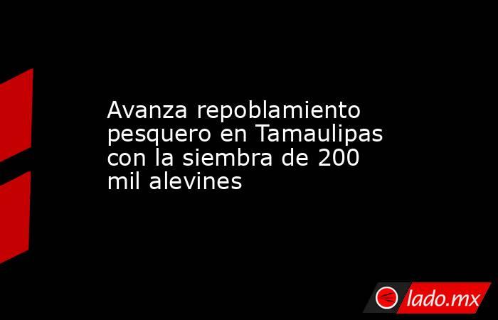 Avanza repoblamiento pesquero en Tamaulipas con la siembra de 200 mil alevines. Noticias en tiempo real