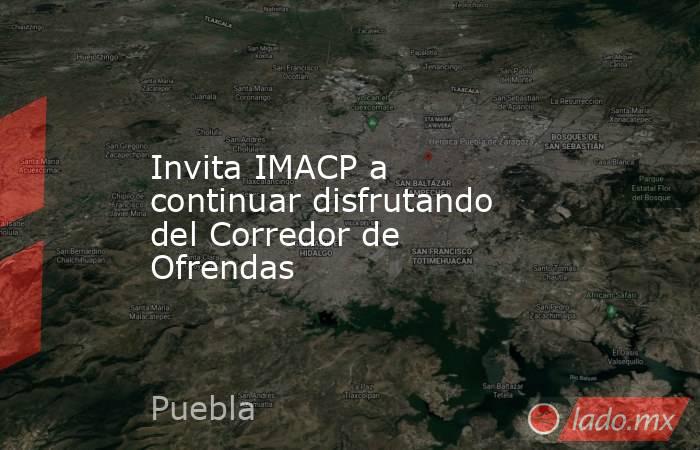 Invita IMACP a continuar disfrutando del Corredor de Ofrendas. Noticias en tiempo real