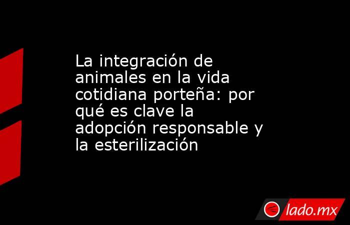 La integración de animales en la vida cotidiana porteña: por qué es clave la adopción responsable y la esterilización. Noticias en tiempo real