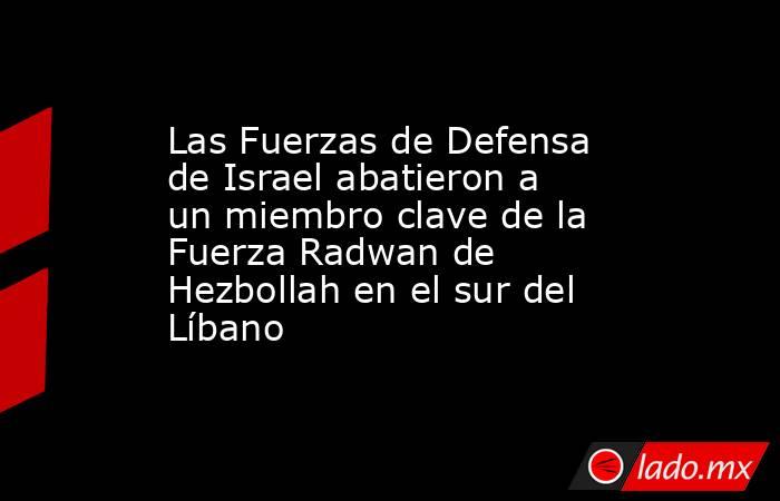 Las Fuerzas de Defensa de Israel abatieron a un miembro clave de la Fuerza Radwan de Hezbollah en el sur del Líbano. Noticias en tiempo real