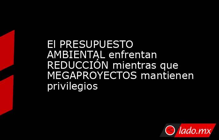 El PRESUPUESTO AMBIENTAL enfrentan REDUCCIÓN mientras que MEGAPROYECTOS mantienen privilegios. Noticias en tiempo real
