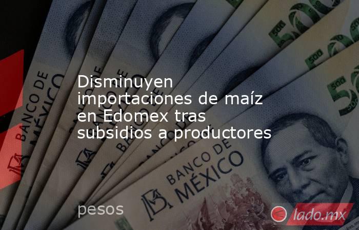 Disminuyen importaciones de maíz en Edomex tras subsidios a productores. Noticias en tiempo real