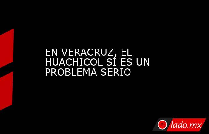 EN VERACRUZ, EL HUACHICOL SÍ ES UN PROBLEMA SERIO. Noticias en tiempo real