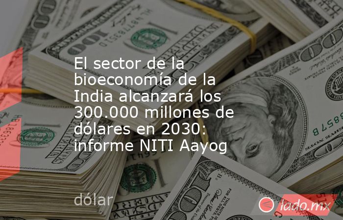 El sector de la bioeconomía de la India alcanzará los 300.000 millones de dólares en 2030: informe NITI Aayog. Noticias en tiempo real