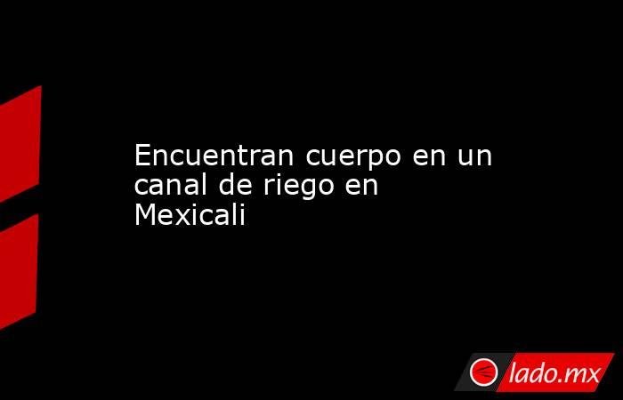 Encuentran cuerpo en un canal de riego en Mexicali . Noticias en tiempo real