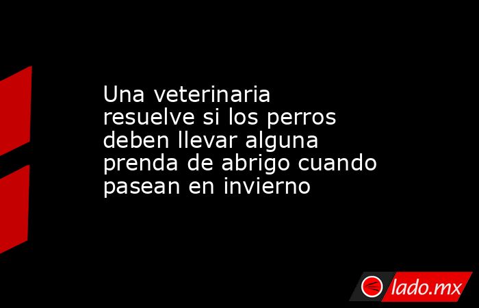 Una veterinaria resuelve si los perros deben llevar alguna prenda de abrigo cuando pasean en invierno. Noticias en tiempo real