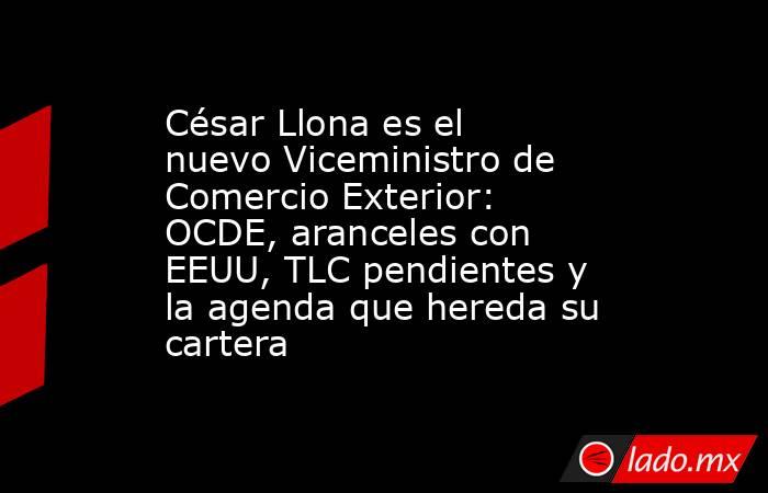 César Llona es el nuevo Viceministro de Comercio Exterior: OCDE, aranceles con EEUU, TLC pendientes y la agenda que hereda su cartera. Noticias en tiempo real