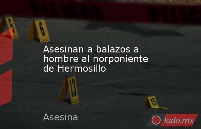 Asesinan a balazos a hombre al norponiente de Hermosillo. Noticias en tiempo real