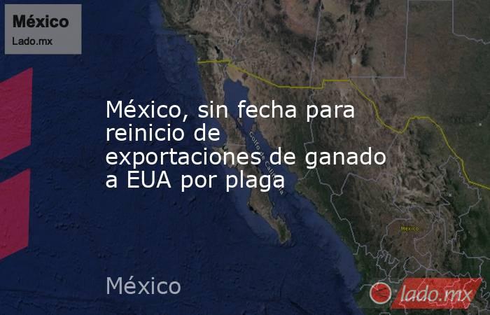 México, sin fecha para reinicio de exportaciones de ganado a EUA por plaga. Noticias en tiempo real