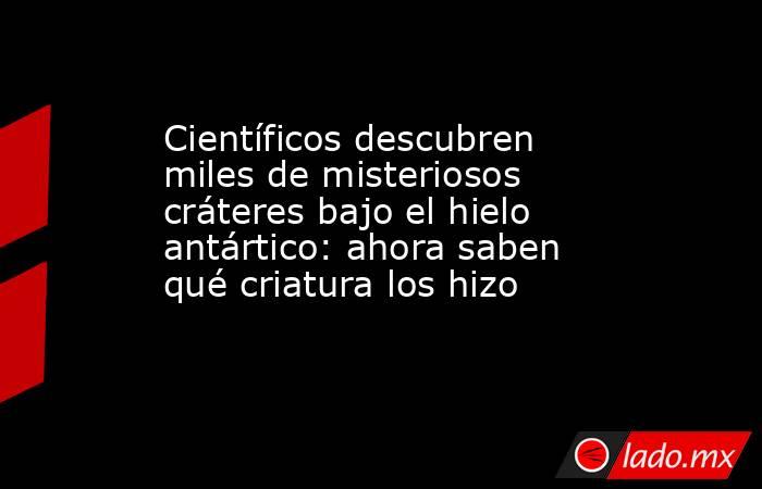 Científicos descubren miles de misteriosos cráteres bajo el hielo antártico: ahora saben qué criatura los hizo. Noticias en tiempo real