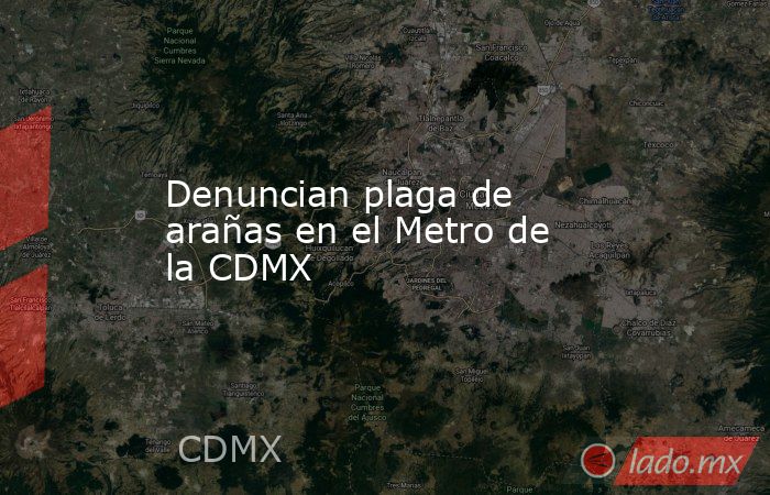 Denuncian plaga de arañas en el Metro de la CDMX. Noticias en tiempo real