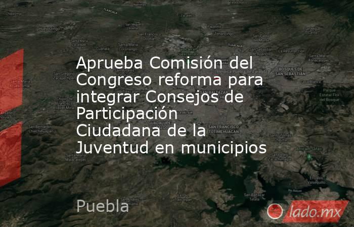 Aprueba Comisión del Congreso reforma para integrar Consejos de Participación Ciudadana de la Juventud en municipios. Noticias en tiempo real