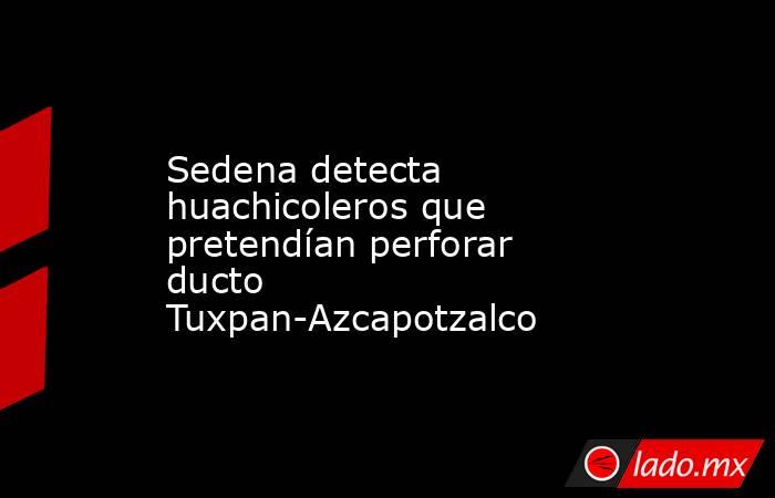 Sedena detecta huachicoleros que pretendían perforar ducto Tuxpan-Azcapotzalco. Noticias en tiempo real