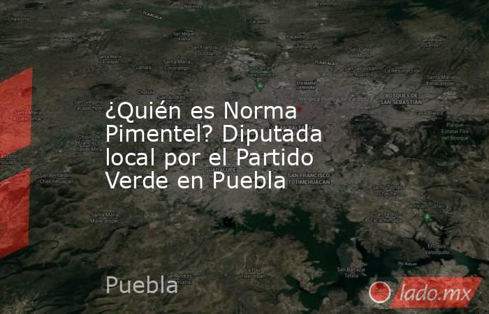 ¿Quién es Norma Pimentel? Diputada local por el Partido Verde en Puebla. Noticias en tiempo real