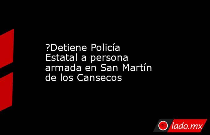 ?Detiene Policía Estatal a persona armada en San Martín de los Cansecos. Noticias en tiempo real
