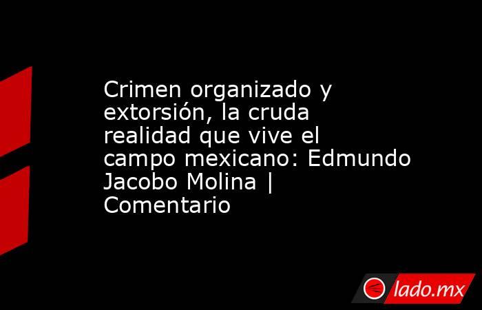 Crimen organizado y extorsión, la cruda realidad que vive el campo mexicano: Edmundo Jacobo Molina | Comentario. Noticias en tiempo real