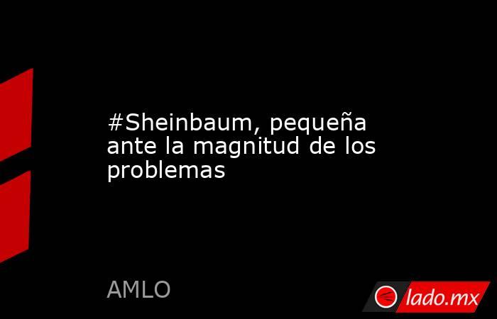 #Sheinbaum, pequeña ante la magnitud de los problemas. Noticias en tiempo real