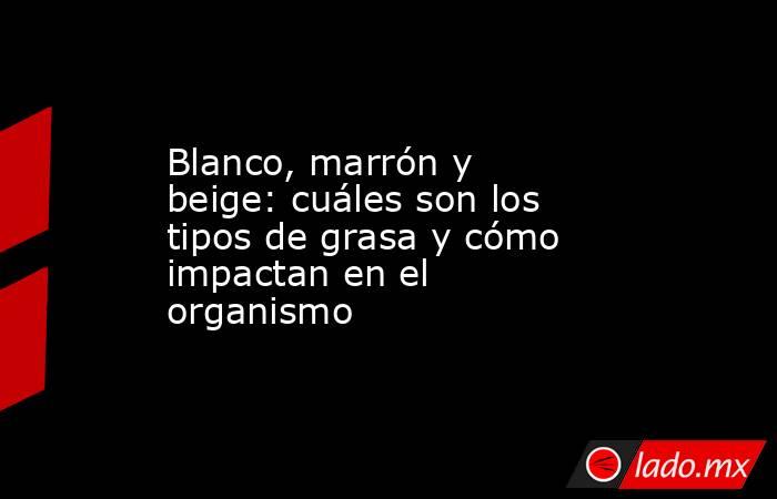 Blanco, marrón y beige: cuáles son los tipos de grasa y cómo impactan en el organismo . Noticias en tiempo real