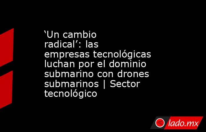 ‘Un cambio radical’: las empresas tecnológicas luchan por el dominio submarino con drones submarinos | Sector tecnológico. Noticias en tiempo real