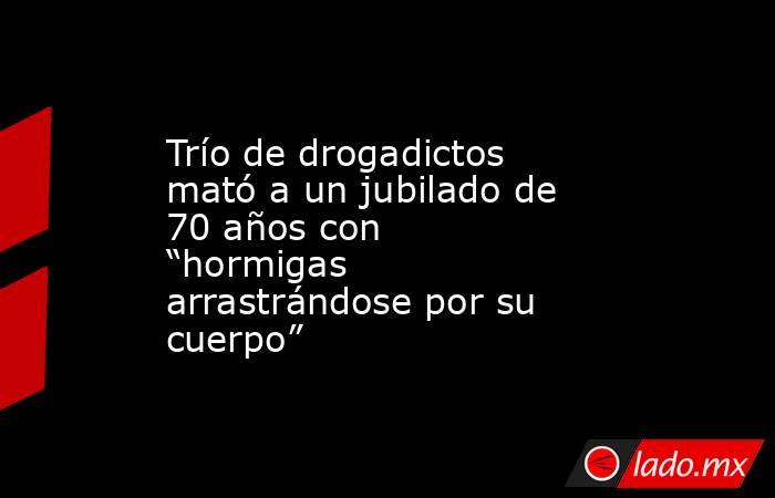 Trío de drogadictos mató a un jubilado de 70 años con “hormigas arrastrándose por su cuerpo”. Noticias en tiempo real