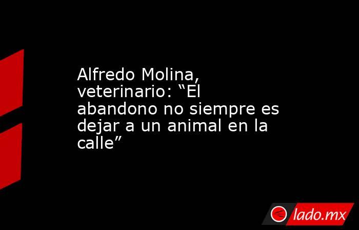 Alfredo Molina, veterinario: “El abandono no siempre es dejar a un animal en la calle”. Noticias en tiempo real