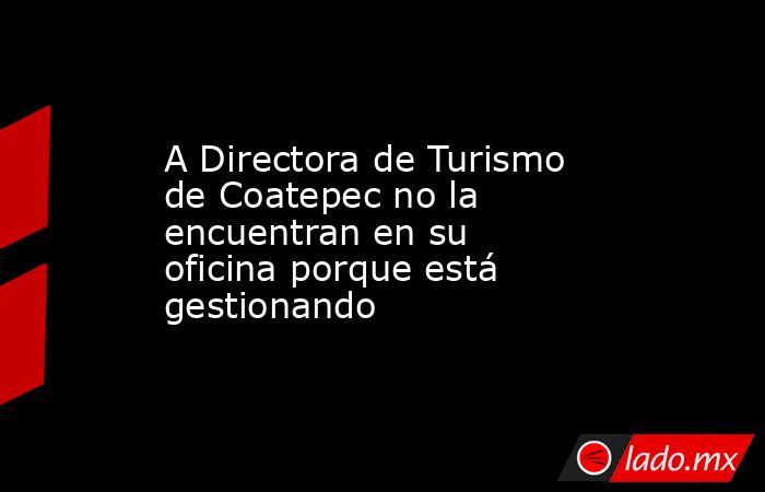 A Directora de Turismo de Coatepec no la encuentran en su oficina porque está gestionando. Noticias en tiempo real