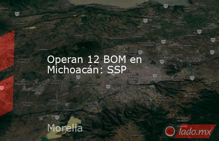 Operan 12 BOM en Michoacán: SSP. Noticias en tiempo real