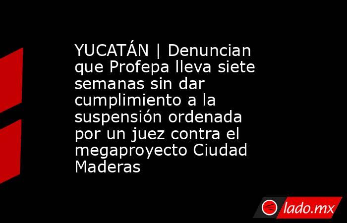 YUCATÁN | Denuncian que Profepa lleva siete semanas sin dar cumplimiento a la suspensión ordenada por un juez contra el megaproyecto Ciudad Maderas. Noticias en tiempo real