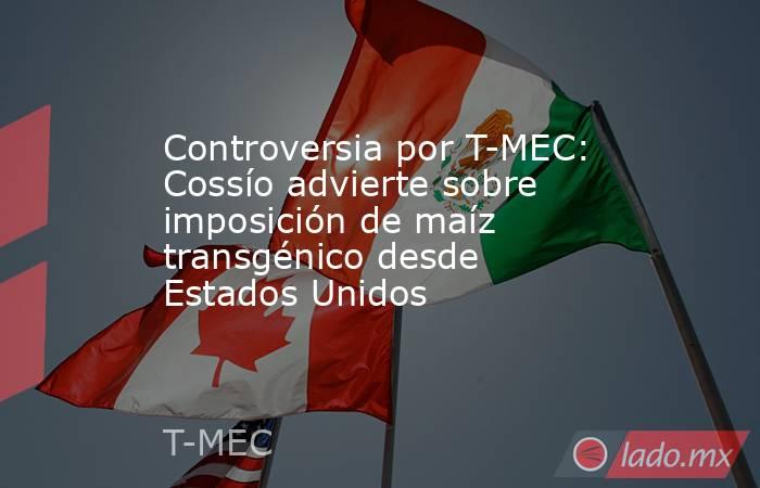 Controversia por T-MEC: Cossío advierte sobre imposición de maíz transgénico desde Estados Unidos . Noticias en tiempo real