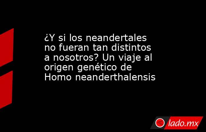 ¿Y si los neandertales no fueran tan distintos a nosotros? Un viaje al origen genético de Homo neanderthalensis. Noticias en tiempo real