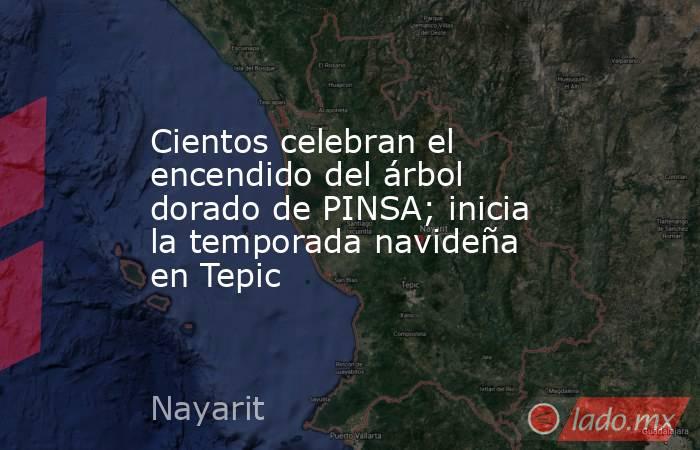 Cientos celebran el encendido del árbol dorado de PINSA; inicia la temporada navideña en Tepic. Noticias en tiempo real