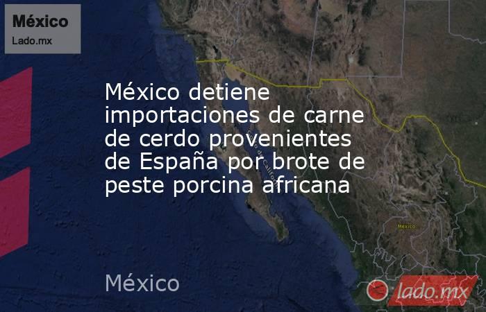 México detiene importaciones de carne de cerdo provenientes de España por brote de peste porcina africana. Noticias en tiempo real
