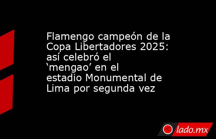 Flamengo campeón de la Copa Libertadores 2025: así celebró el ‘mengao’ en el estadio Monumental de Lima por segunda vez . Noticias en tiempo real