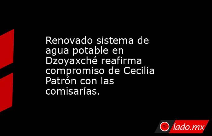 Renovado sistema de agua potable en Dzoyaxché reafirma compromiso de Cecilia Patrón con las comisarías.. Noticias en tiempo real
