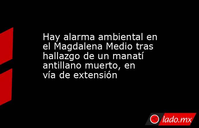 Hay alarma ambiental en el Magdalena Medio tras hallazgo de un manatí antillano muerto, en vía de extensión . Noticias en tiempo real