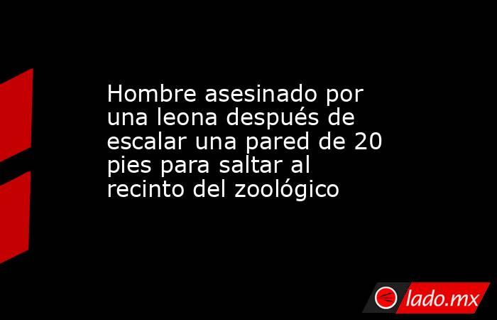 Hombre asesinado por una leona después de escalar una pared de 20 pies para saltar al recinto del zoológico. Noticias en tiempo real