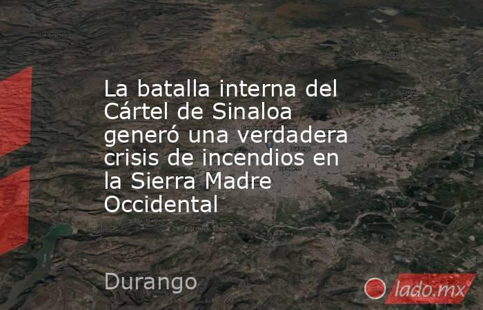 La batalla interna del Cártel de Sinaloa generó una verdadera crisis de incendios en la Sierra Madre Occidental. Noticias en tiempo real