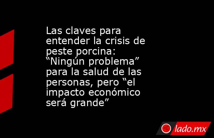 Las claves para entender la crisis de peste porcina: “Ningún problema” para la salud de las personas, pero “el impacto económico será grande”. Noticias en tiempo real