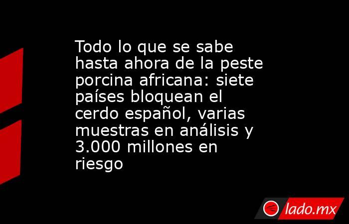 Todo lo que se sabe hasta ahora de la peste porcina africana: siete países bloquean el cerdo español, varias muestras en análisis y 3.000 millones en riesgo. Noticias en tiempo real